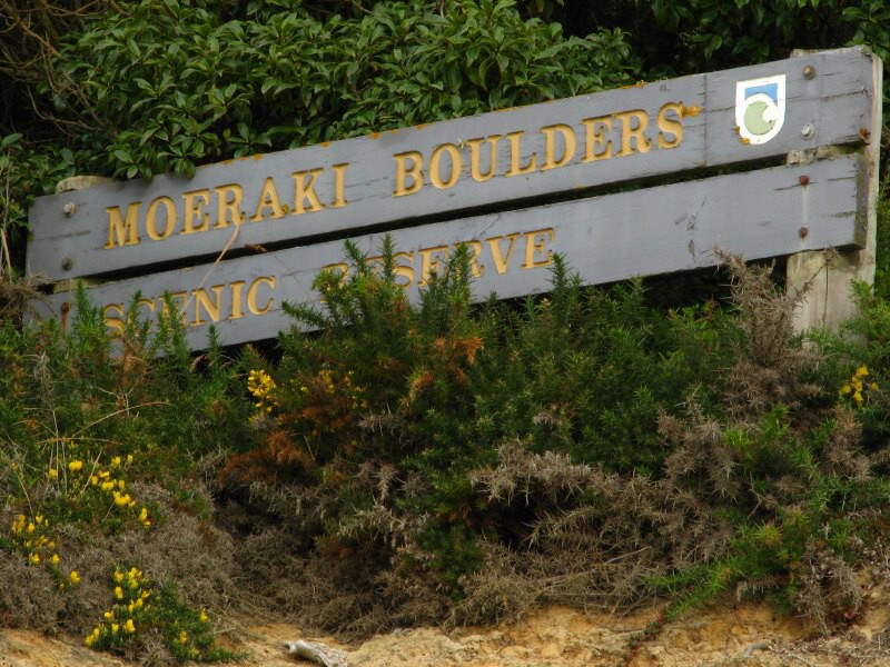 Moeraki Boulders