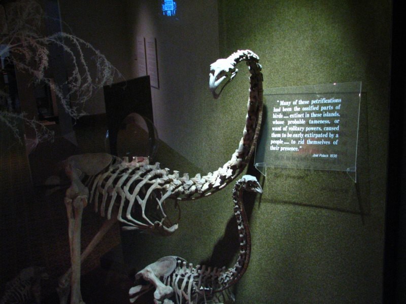 Christchurch 03