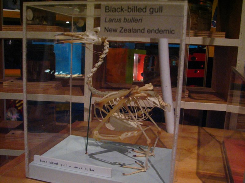 Christchurch 03
