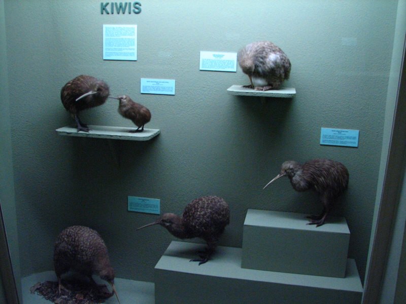 Christchurch 03