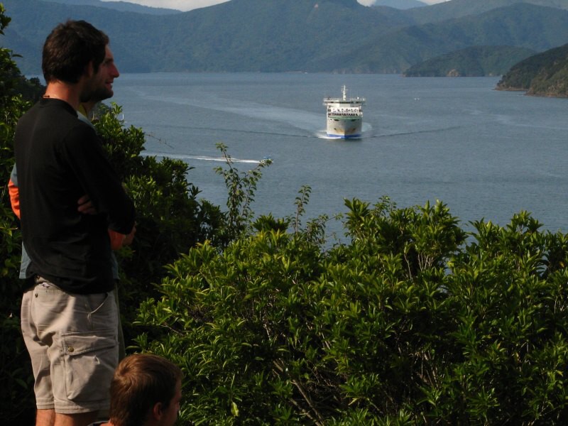 trajekt Picton-Wellington