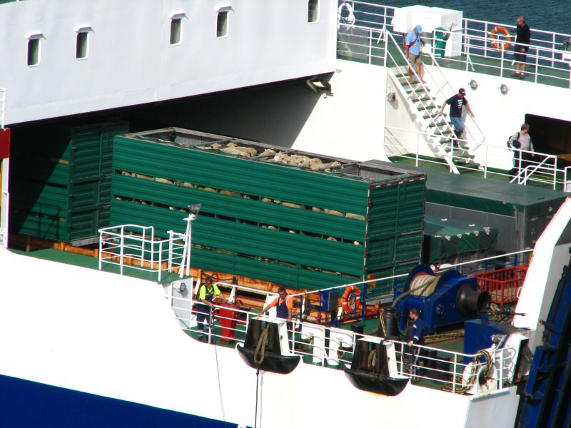 trajekt Picton-Wellington