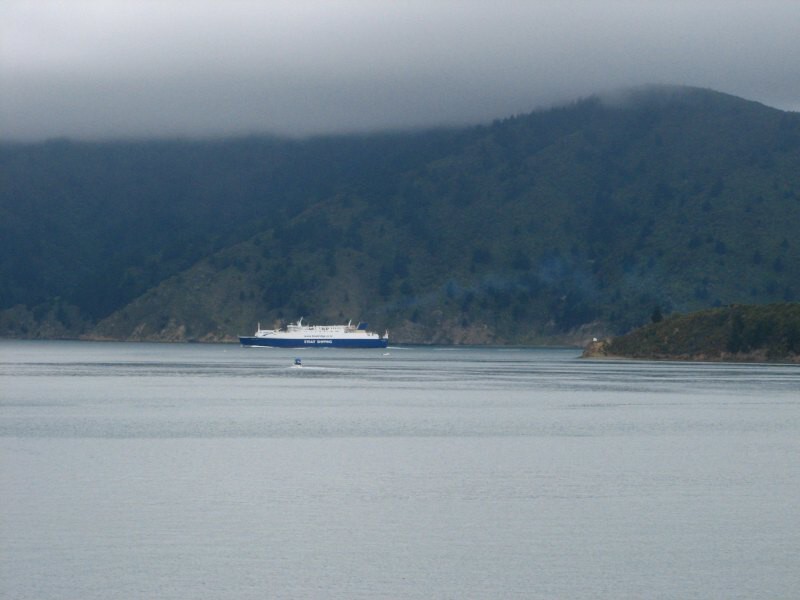 trajekt Picton-Wellington