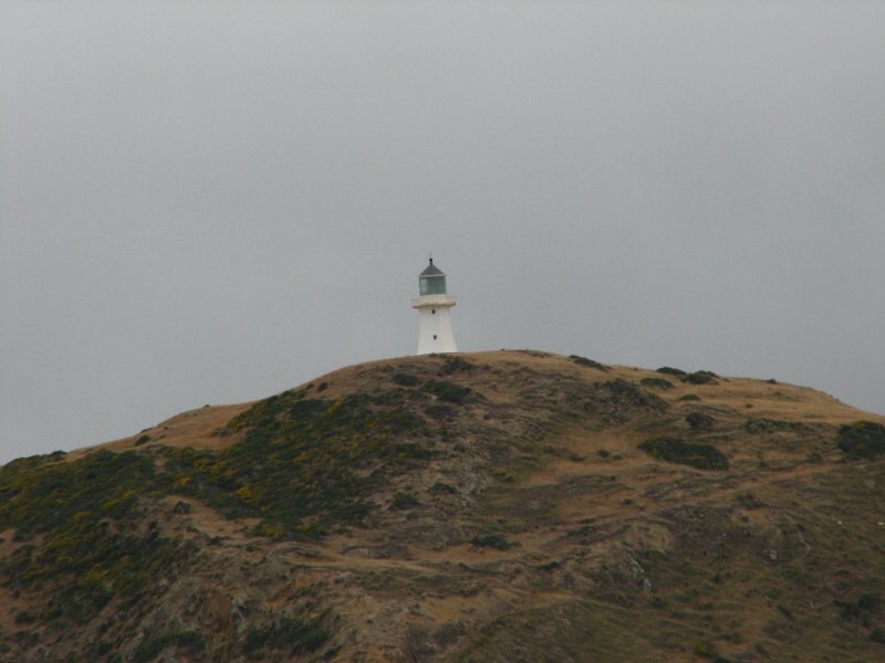 trajekt Picton-Wellington