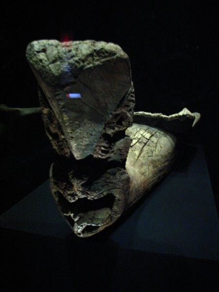 Wellington_muzeum