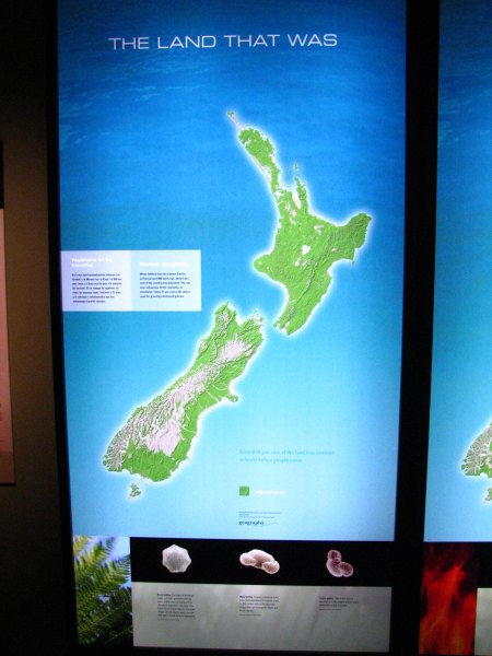 Wellington_muzeum