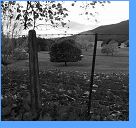 Vytvořeno: 17. dubna 2007 17:27:32 