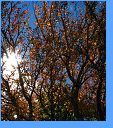 Vytvořeno: 22. dubna 2007 12:28:27 