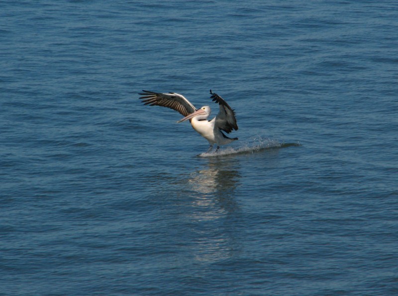 Queensland