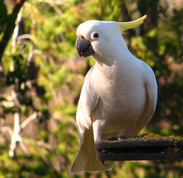Queensland