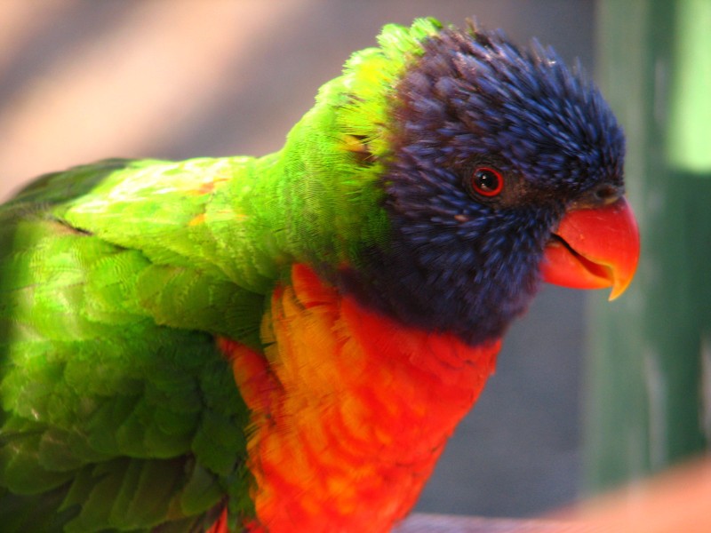 Queensland