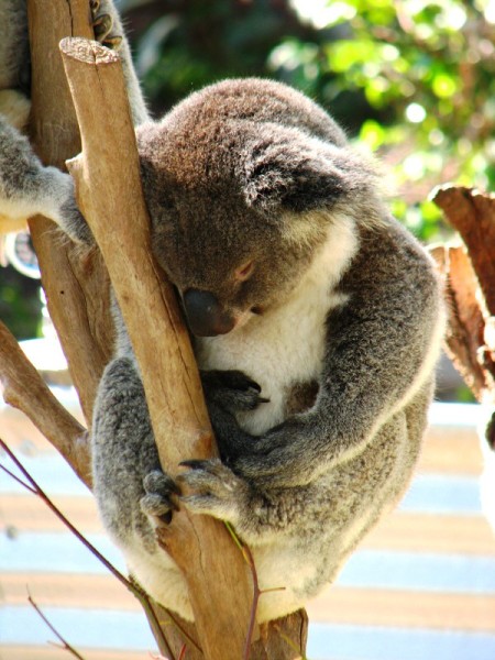 Queensland