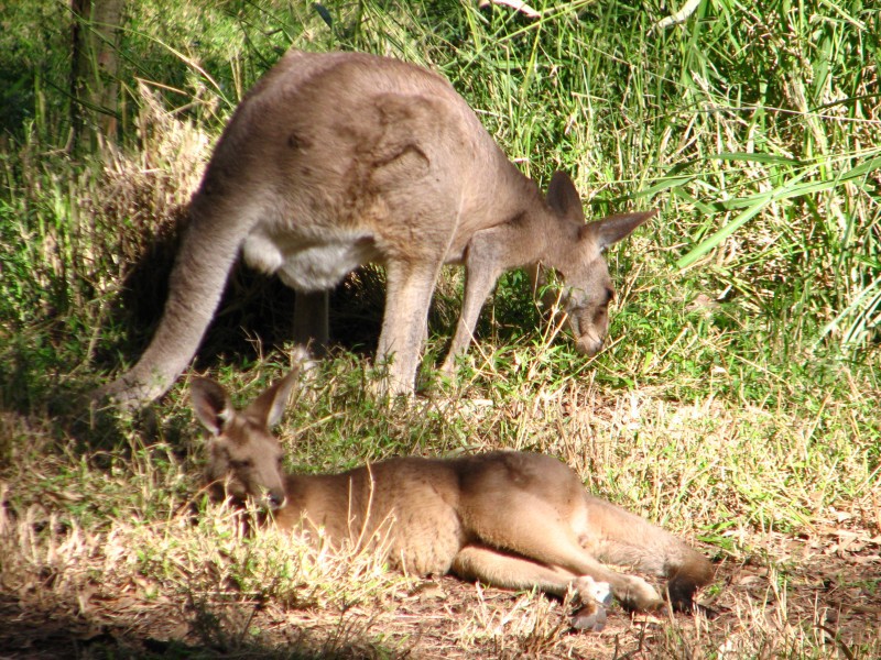 Queensland