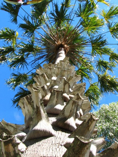 Queensland