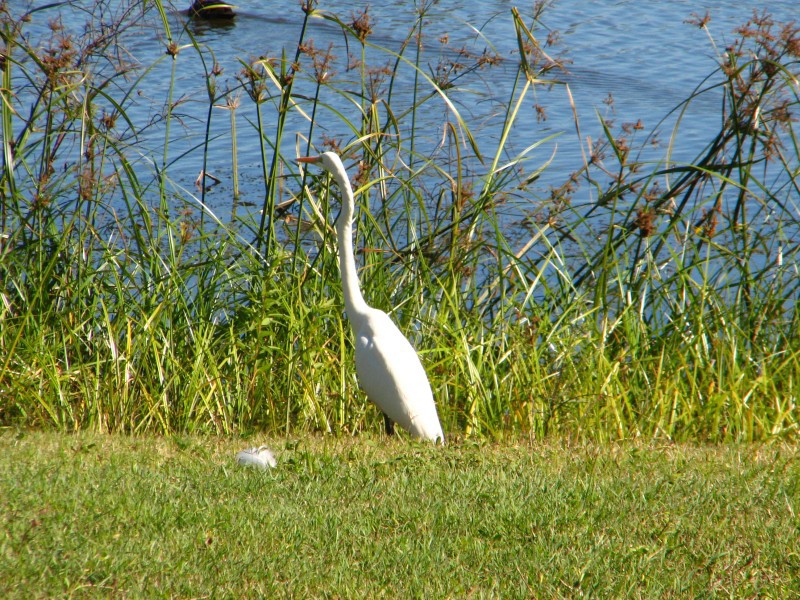 Queensland