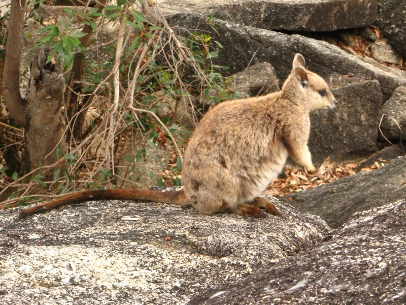 Queensland