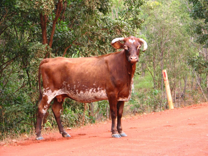 Queensland