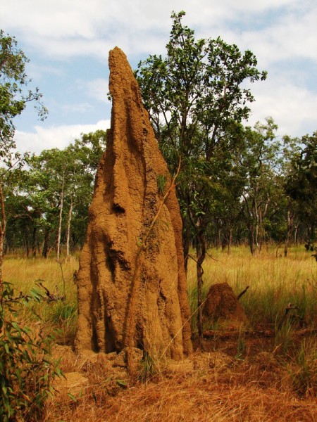 Queensland