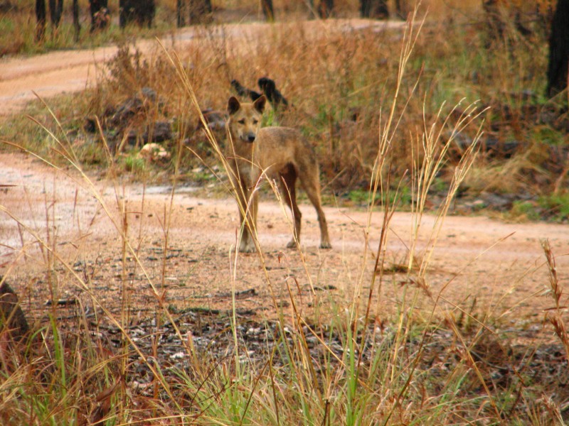 Queensland
