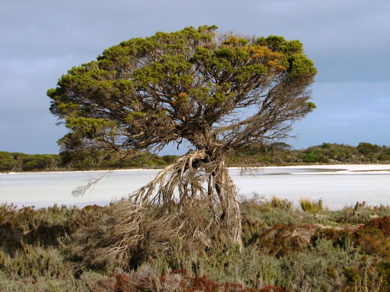 South Australia