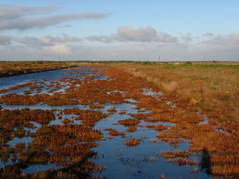 South Australia