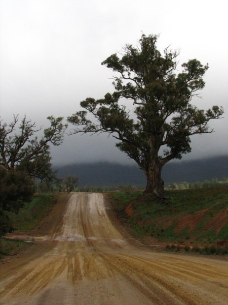 South Australia