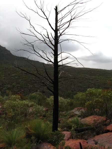 South Australia