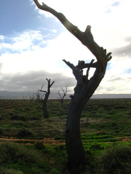 South Australia