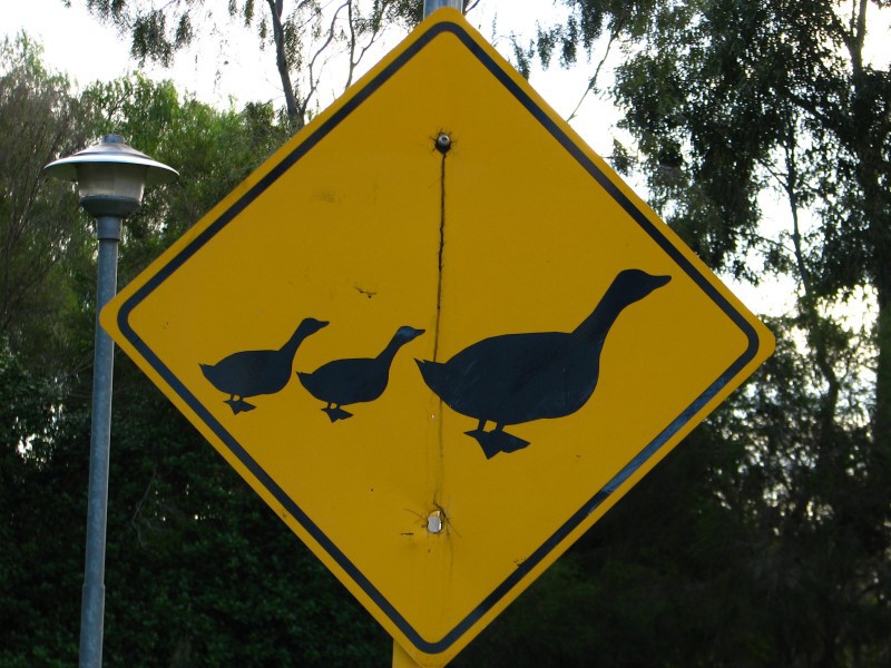South Australia