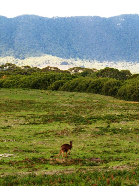 Wilsons Promontory