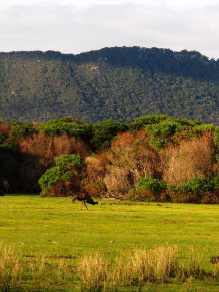 Wilsons Promontory