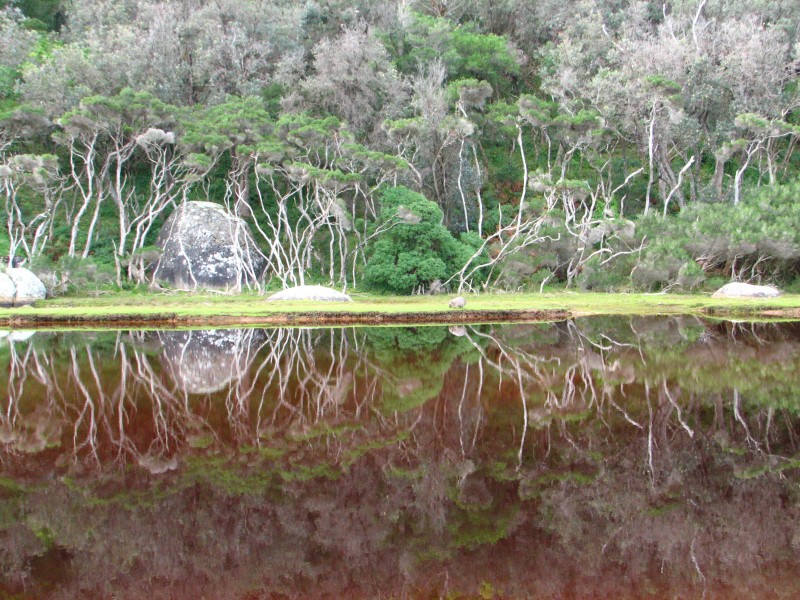 Wilsons Promontory