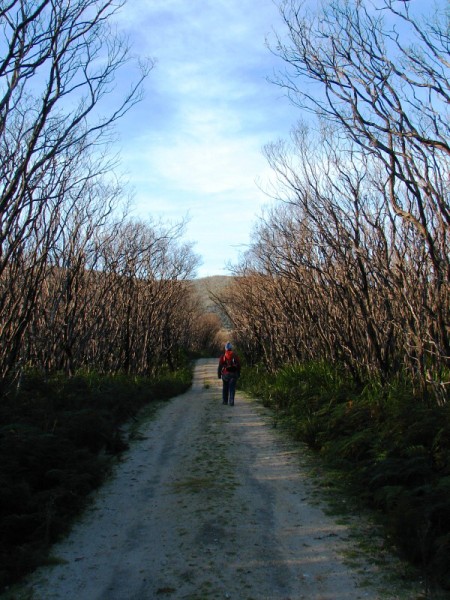Wilsons Promontory