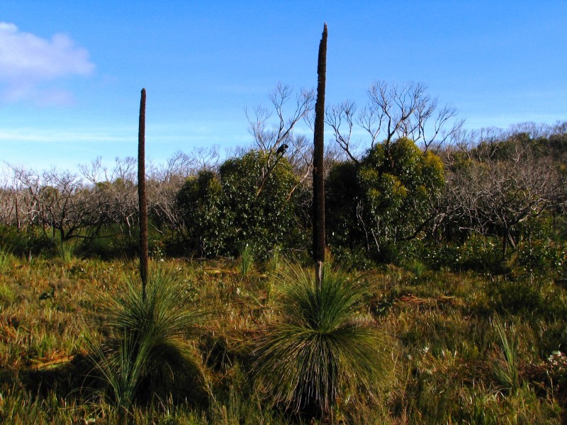 Wilsons Promontory