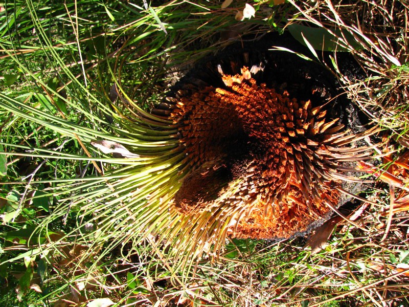 Wilsons Promontory