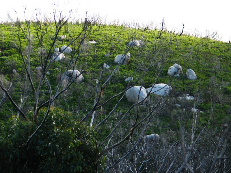 Wilsons Promontory