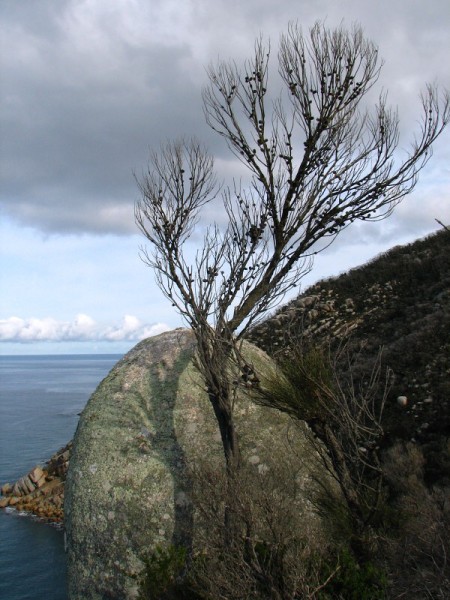 Wilsons Promontory
