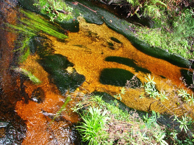 Wilsons Promontory