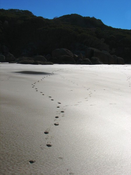 Wilsons Promontory