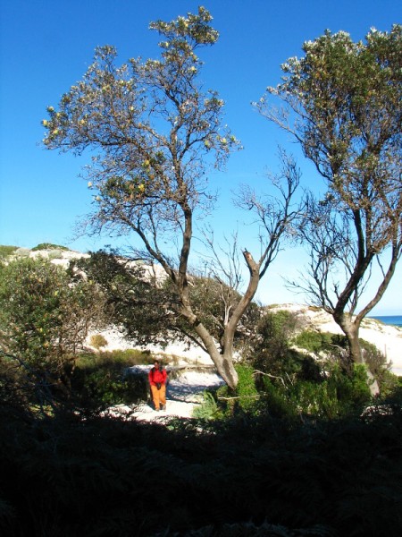Wilsons Promontory