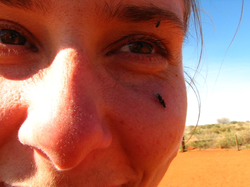 Australie pod drobnohledem