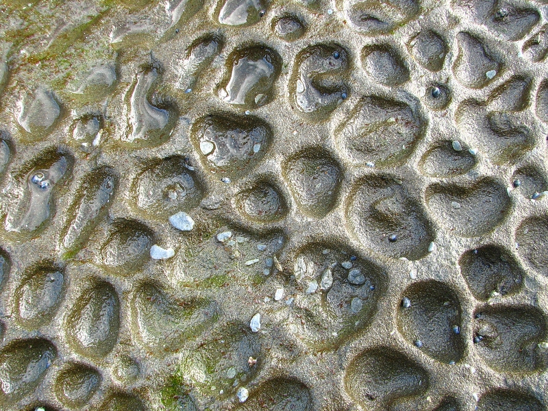 Australie pod drobnohledem