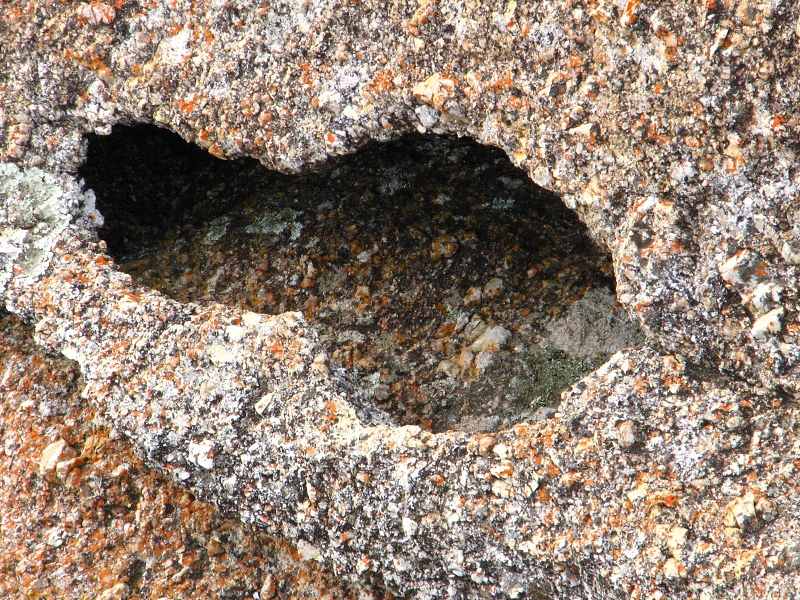 Australie pod drobnohledem