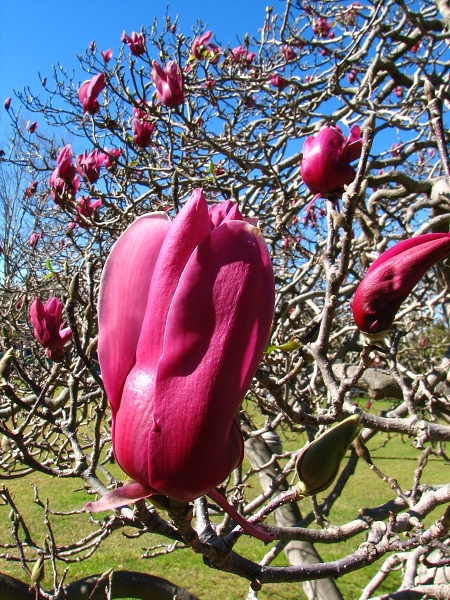 Australie pod drobnohledem