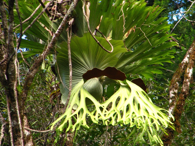 Australie pod drobnohledem