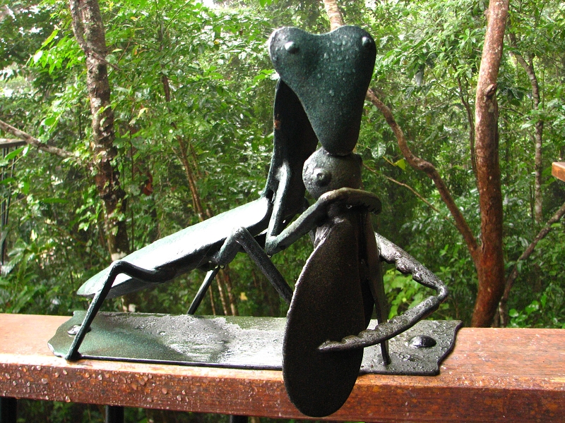 Australie pod drobnohledem