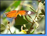 29. června 2007 14:11:27 