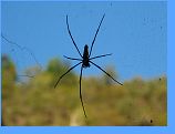 30. června 2007 13:31:25 