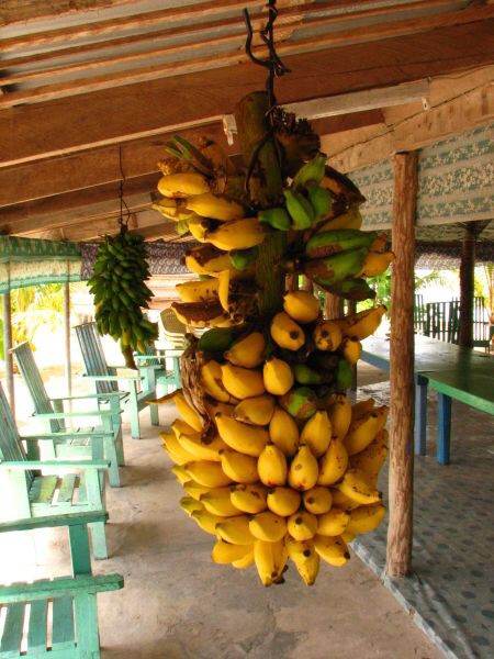 Samoa - Savaii