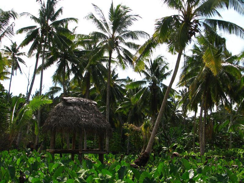 Samoa - Savaii